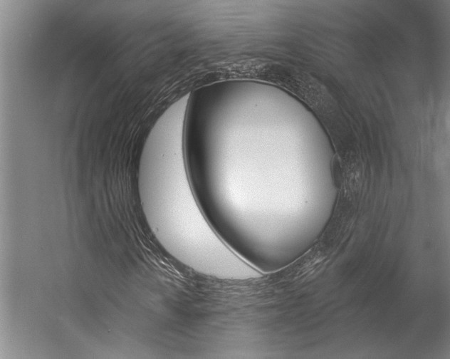 X0000057091010200509090933