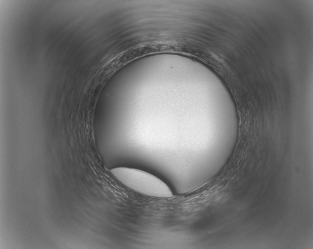 X0000057091015200509090933