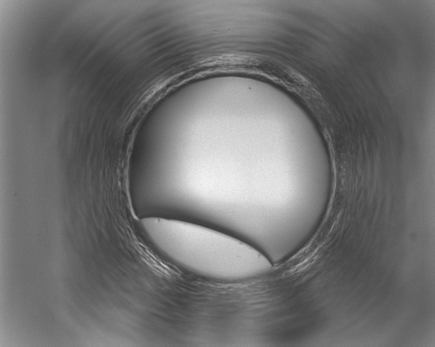 X0000057091017200509090933