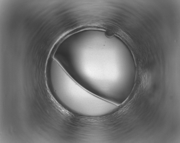 X0000057091028200509090933
