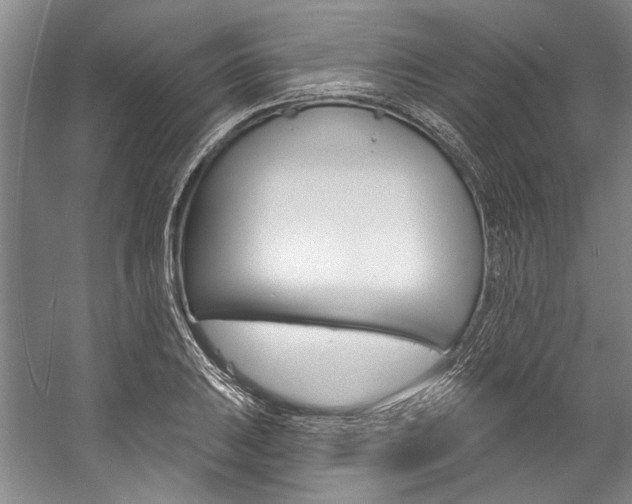 X0000057091031200509090933