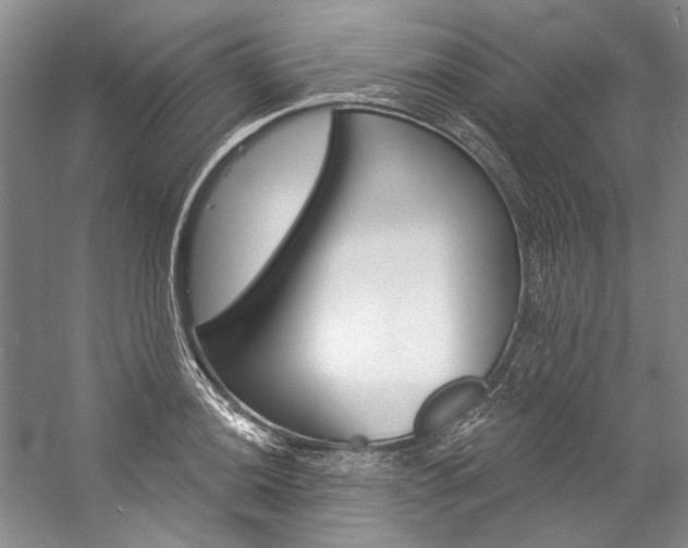 X0000057091036200509090933