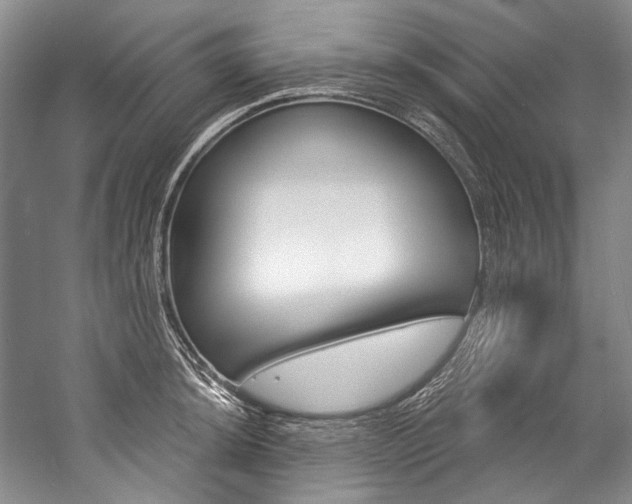 X0000057091044200509090933
