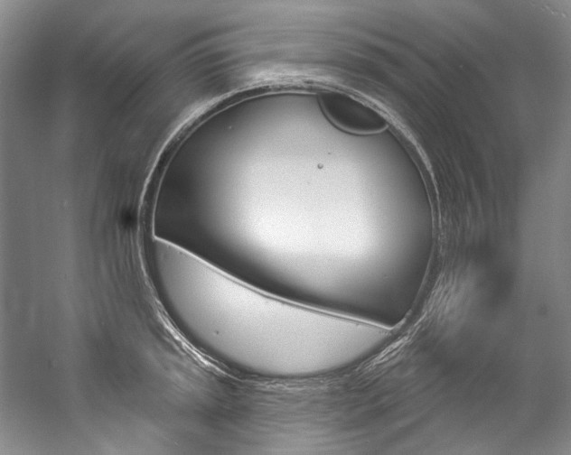 X0000057091045200509090933