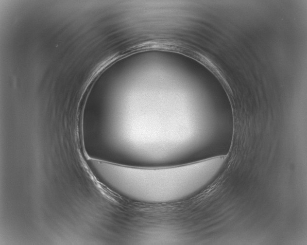 X0000057091050200509090934