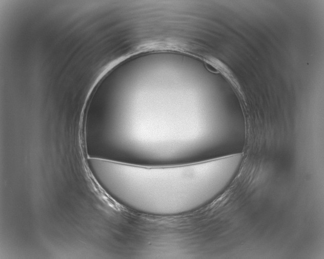 X0000057091052200509090934