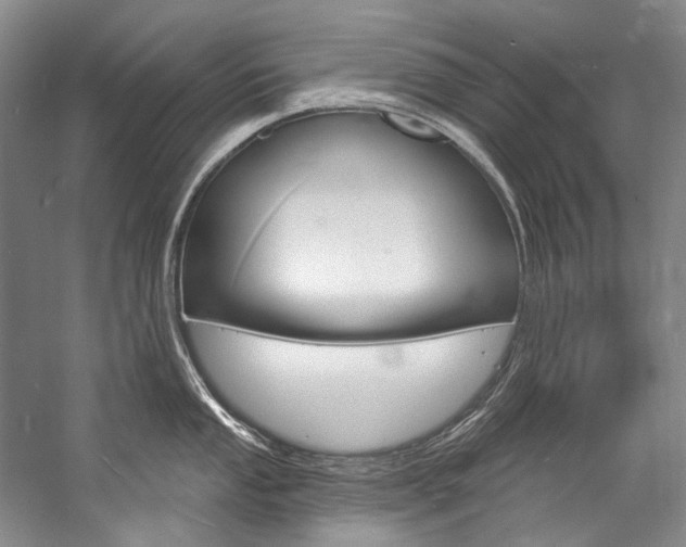 X0000057091053200509090934