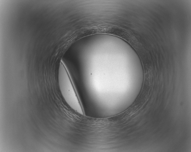 X0000057091058200509090933