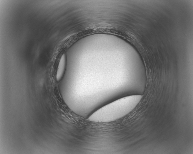 X0000057091063200509090933