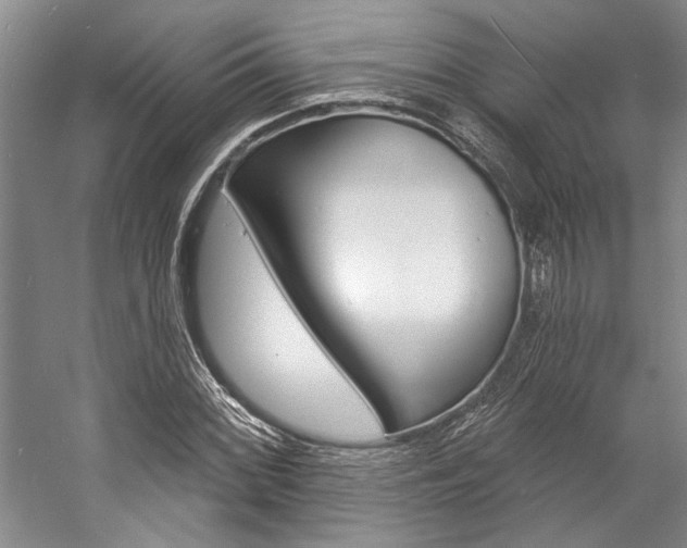 X0000057091068200509090933