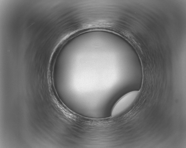 X0000057091072200509090933