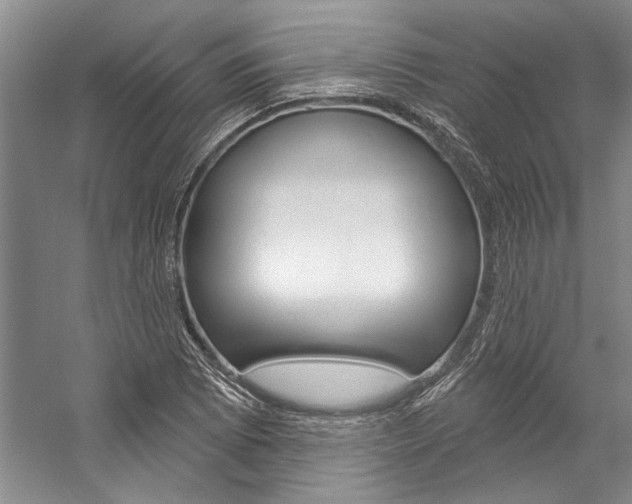 X0000057091073200509090933