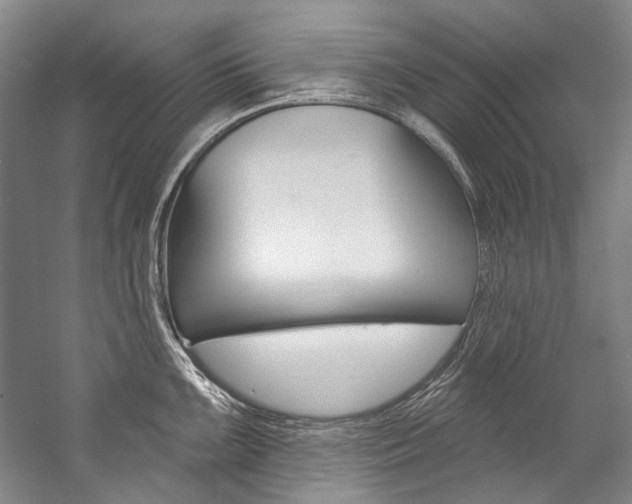 X0000057091099200509090932