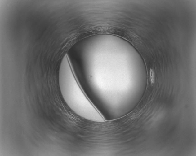 X0000057091107200509090931