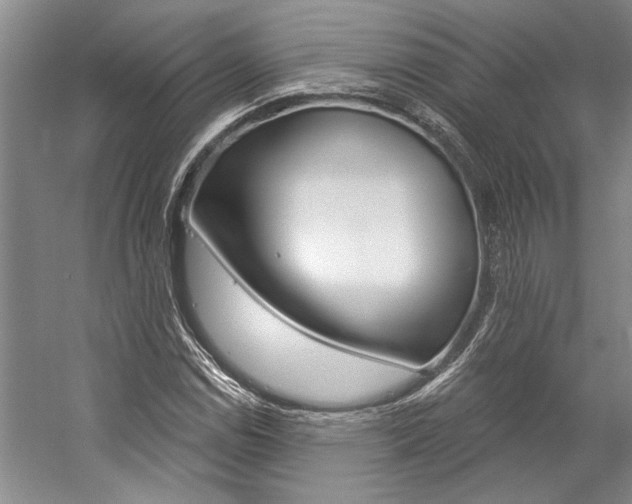 X0000057091114200509090931
