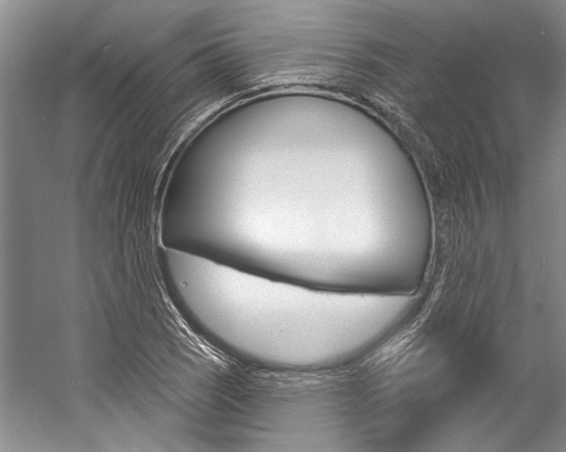 X0000057091121200509090931