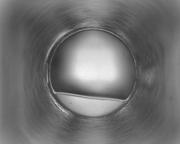 X0000057091123200509090932