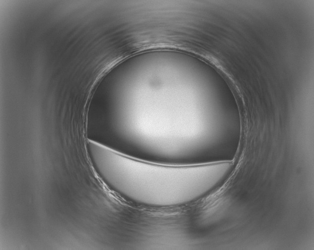 X0000057091145200509090932