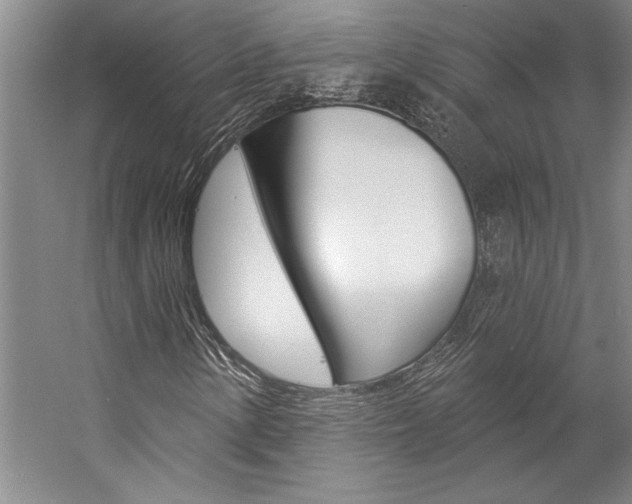 X0000057091154200509090931