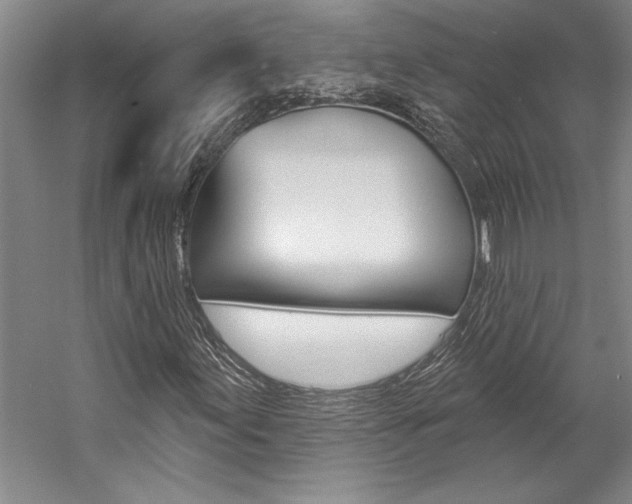 X0000057091155200509090931