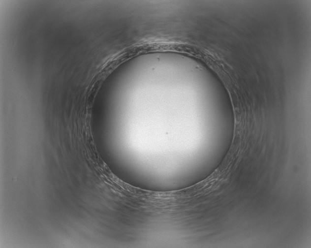 X0000057091157200509090931