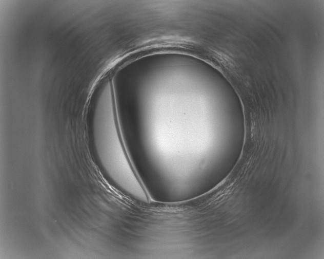 X0000057091164200509090931