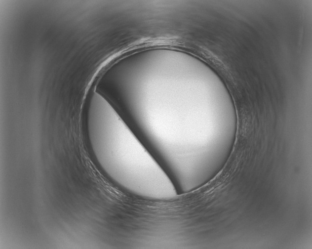 X0000057091174200509090931