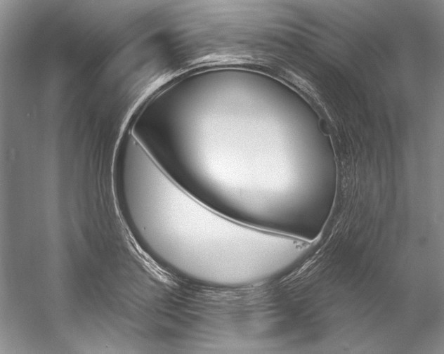 X0000057091179200509090931