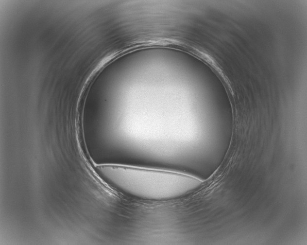 X0000057091187200509090931