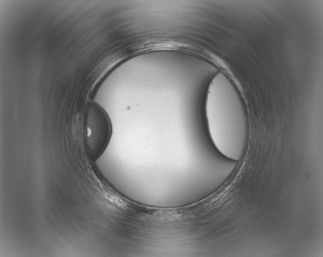 X0000057091194200509090931