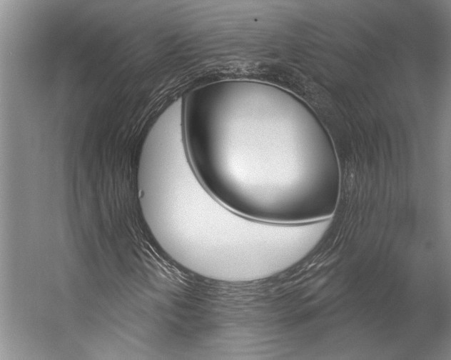 X0000057091202200509090930