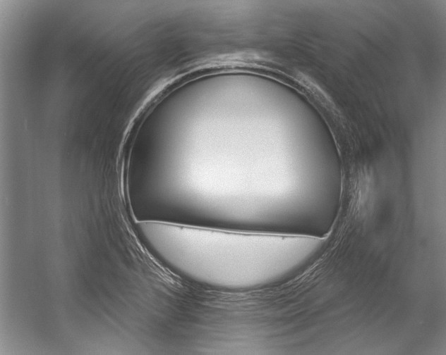 X0000057091224200509090930