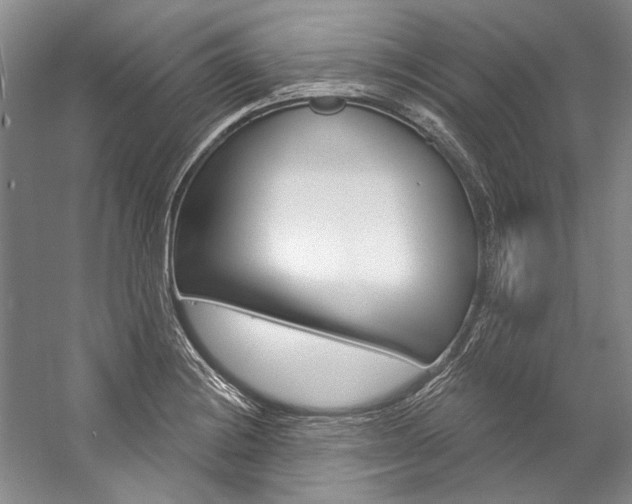 X0000057091228200509090930