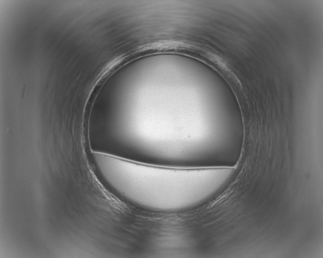 X0000057091229200509090930