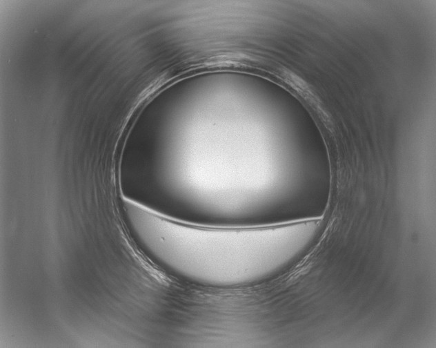 X0000057091234200509090930