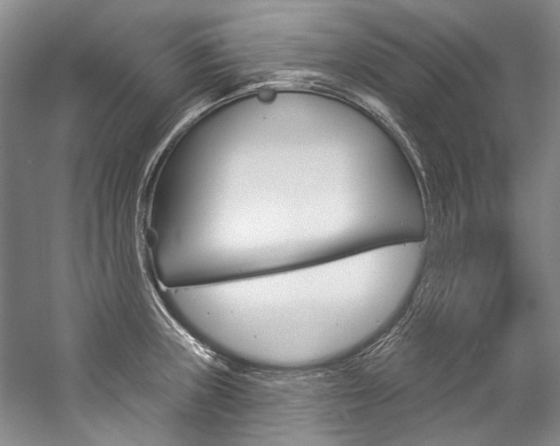 X0000057091235200509090930