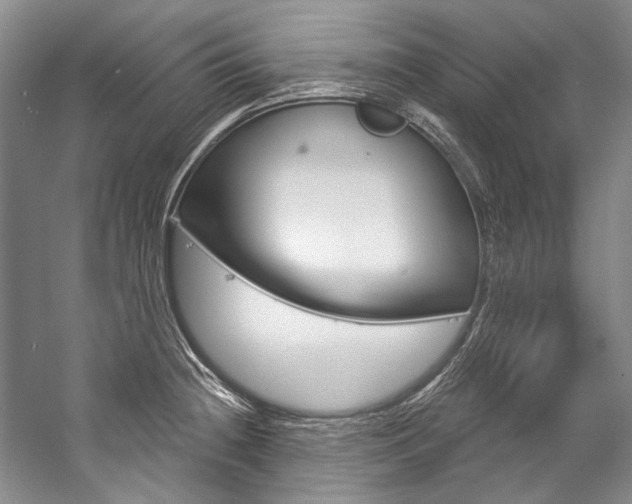 X0000057091236200509090930
