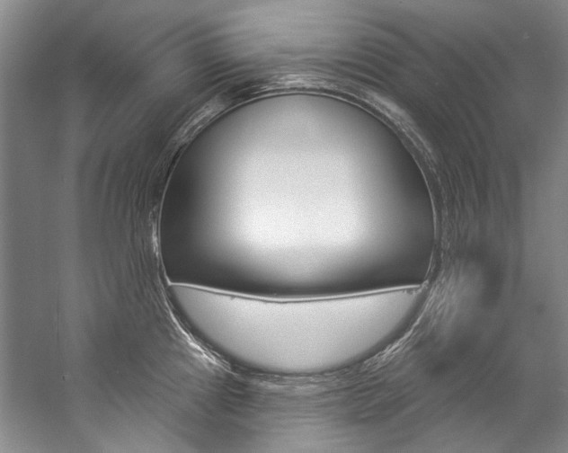 X0000057091241200509090930