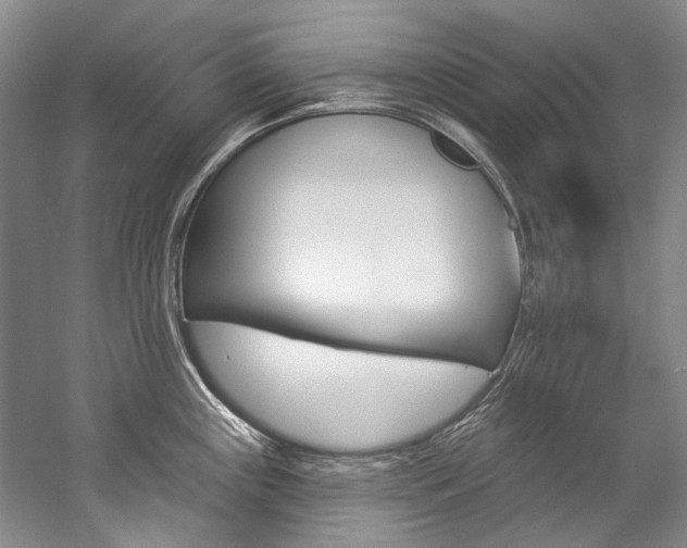 X0000057091243200509090930
