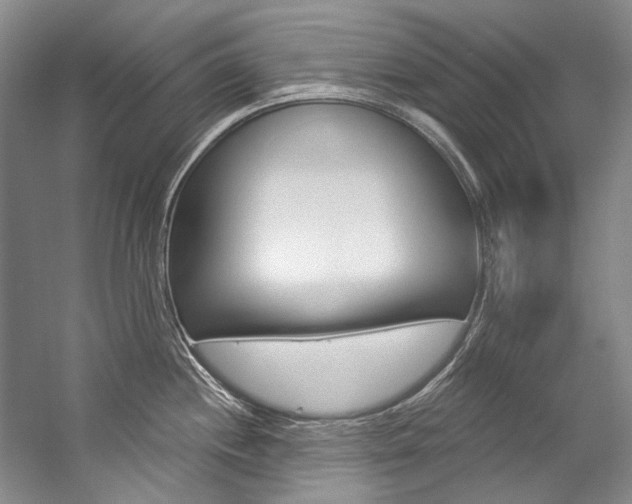 X0000057091244200509090930