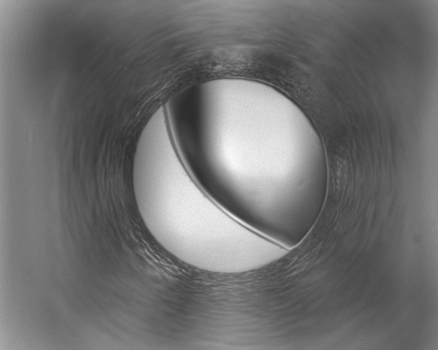 X0000057091250200509090930