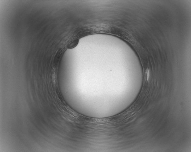 X0000057091251200509090930