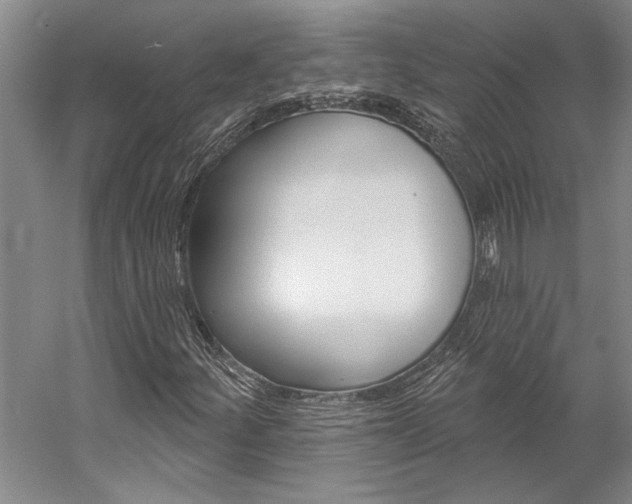 X0000057091252200509090930