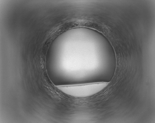X0000057091253200509090930
