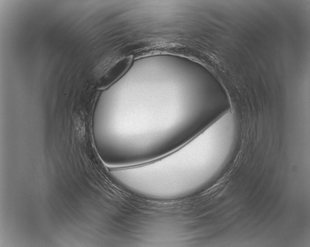 X0000057091257200509090929
