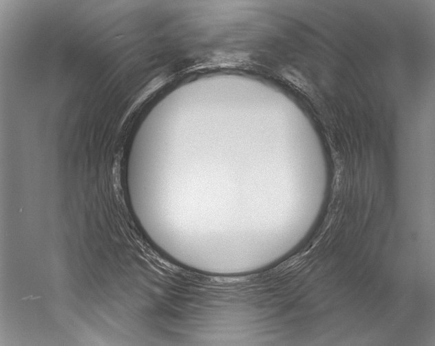 X0000057091258200509090929