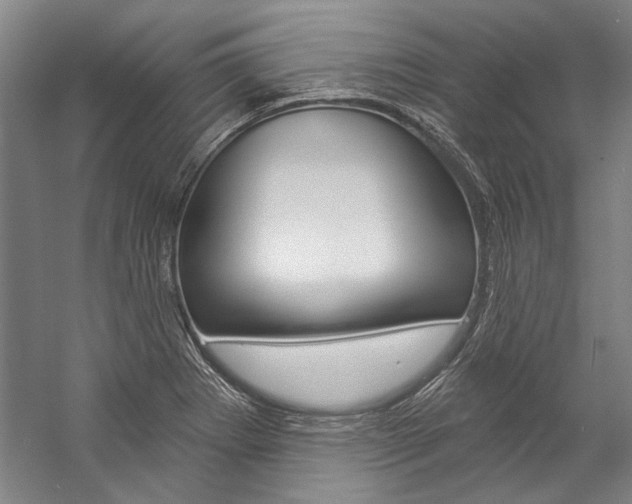 X0000057091273200509090929