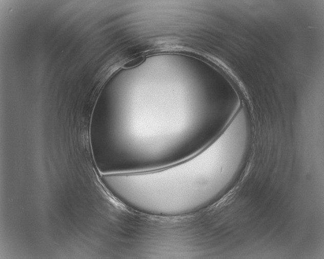 X0000057091289200509090929