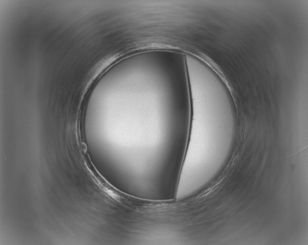 X0000057091293200509090929