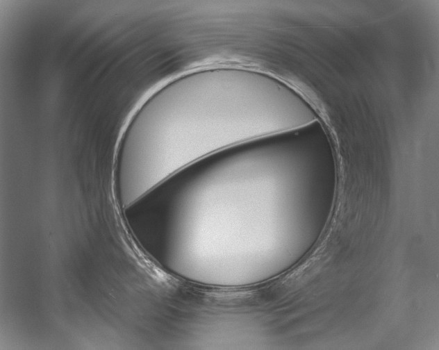 X0000057091296200509090929